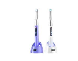 Woodpecker iLED plus (Оригінал)