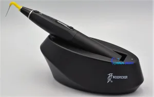 Woodpecker Fi P  (Плаггер)