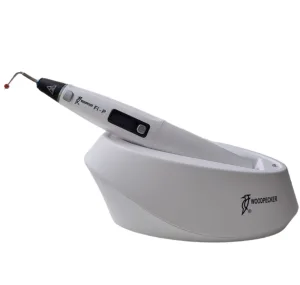 Woodpecker Fi P  (Плаггер)