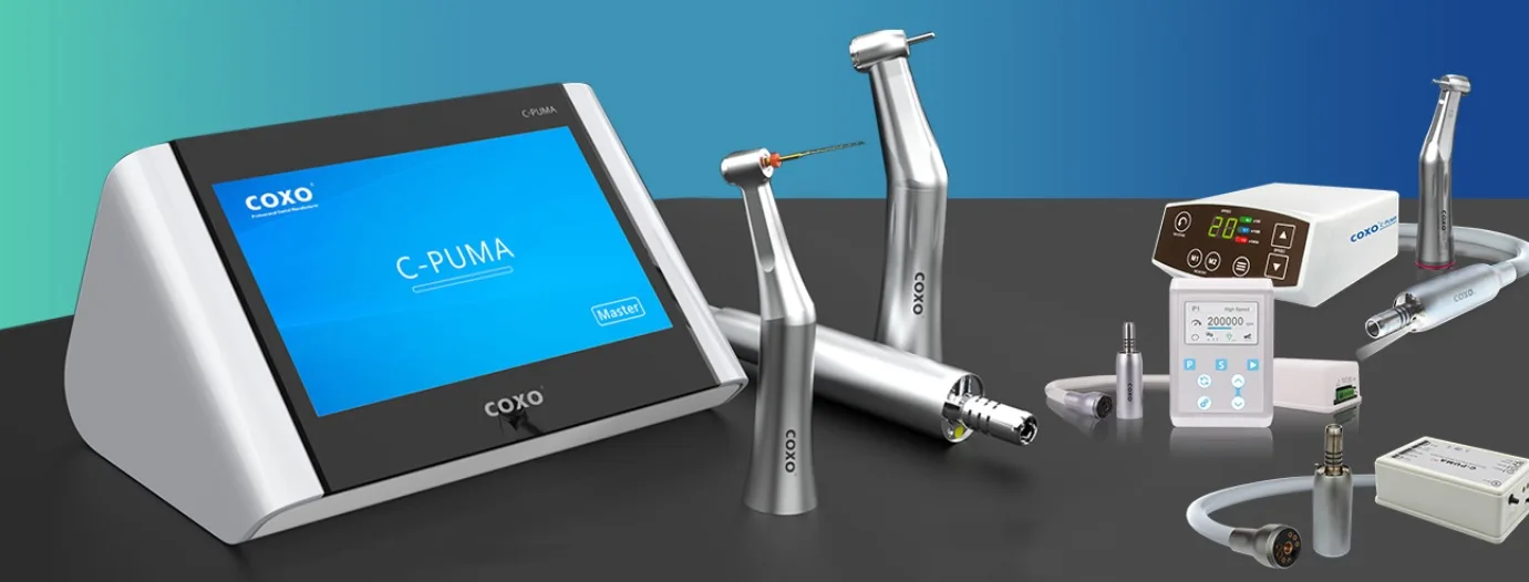 Електромотори COXO C-Puma